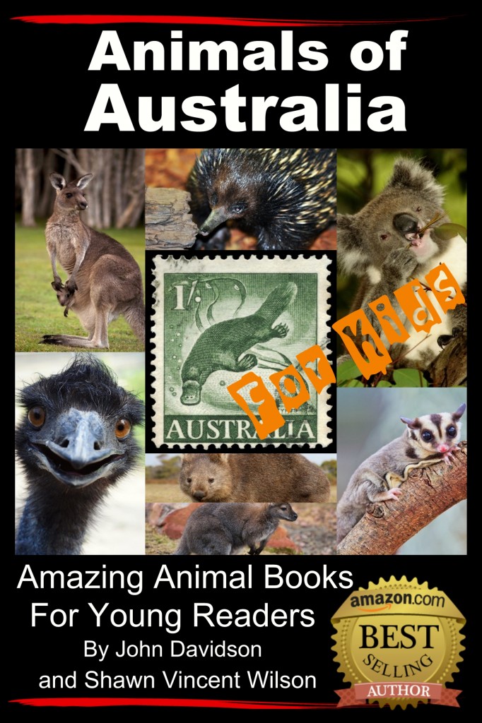 Animals of Australia cover