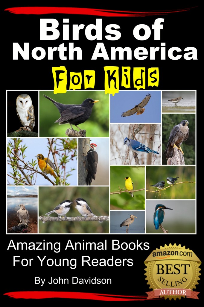 Birds of North America